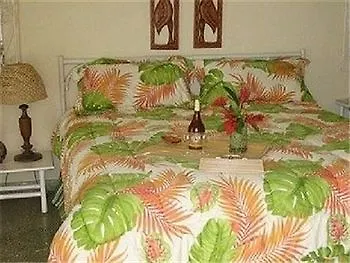 酒店 Paradise Lacosta Villa 蒙特哥贝